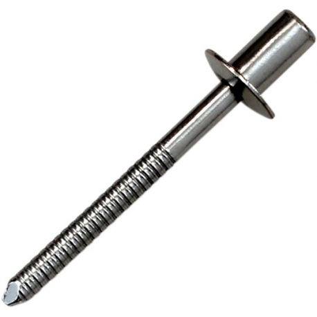 RIVET SS D4 8x8 CLEAR