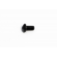 BOLT MOUNTING SCREW