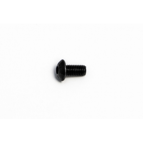 BOLT MOUNTING SCREW