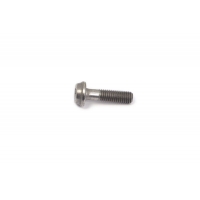 BOLT MOUNTING SCREW