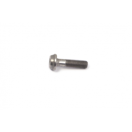 BOLT MOUNTING SCREW