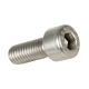BOLT MOUNTING SCREW