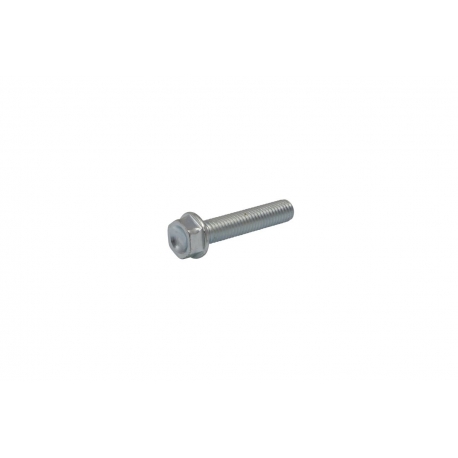 BOLT MOUNTING SCREW