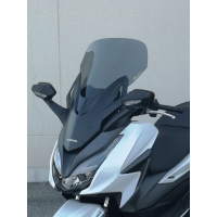 WNDSCRN FORZA125 SMK