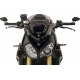 WINDSCREEN SPORT S1000R DARK S