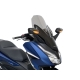 WINDSCREEN TOURING FORZA350 SM