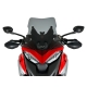 WSCRN STANDARD MULTISTRADA V4 DRK SMKD