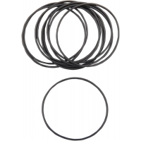 MANIFOLD O-RING FOR SUPER E CARB