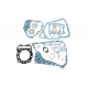 XRADICAL (ARTEIN GASKETS) KOMPLET USZCZELEK HONDA FES 250 FORESIGHT LC 4T '96-'05 , JAZZ 250 '01-'05 , FORZA NSS 250 '01-'04 , P