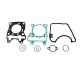 XRADICAL (ARTEIN GASKETS) USZCZELKI TOP END HONDA PCX 125 '12