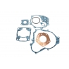 XRADICAL (ARTEIN GASKETS) KOMPLET USZCZELEK HONDA FES PANTHEON 125 2T '98-'02