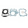 XRADICAL (ARTEIN GASKETS) USZCZELKI TOP END PEUGEOT ELYSEO 125 '98-'01, ELYSTAR 125 '02-'03 , JET FORCE 125 '03-'04 CRANKCASE / 