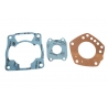 XRADICAL (ARTEIN GASKETS) USZCZELKI TOP END HONDA FES PANTHEON 125 2T '98-'02