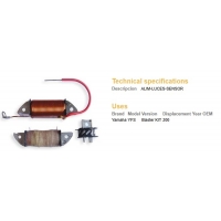 DZE CEWKA WZBUDZENIA + IMPULSATOR YAMAHA YFS 200 BLASTER