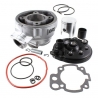 RMS CYLINDER KOMPLETNY MINARELLI AM6 D.49 73.5CC (EVOK)