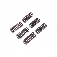 TRW ZF SPRĘŻYNY SPRZĘGŁOWE DUCATI MONSTER 620 / 696 / 800 05-14, SCRAMBLER 800 15-,