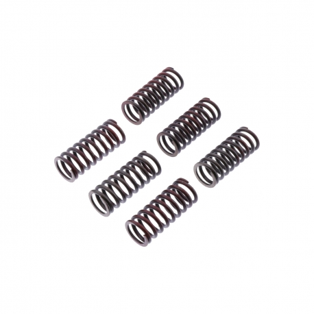 TRW ZF SPRĘŻYNY SPRZĘGŁOWE DUCATI MONSTER 620 / 696 / 800 05-14, SCRAMBLER 800 15-,