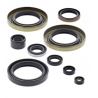 WINDEROSA (VERTEX) KOMPLET (ZESTAW) USZCZELNIACZY SILNIKOWYCH KAWASAKI KX500 89-04