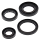 WINDEROSA (VERTEX) KOMPLET (ZESTAW) USZCZELNIACZY SILNIKOWYCH YAMAHA YFA1 89-04, YFM125 GRIZZLY 04-13