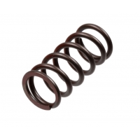 TRW ZF SPRĘŻYNY SPRZĘGŁOWE KAWASAKI ZX-10R NINJA '04-'15