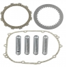 TRW ZF SPRZĘGŁO KOMPLETNE SUPERKIT (TARCZE, PRZEKŁADKI, SPRĘŻYNY) KAWASAKI Z 750 04-14,