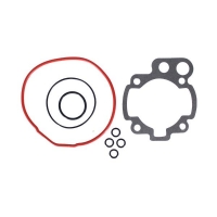 RMS USZCZELKI TOP-END MINARELLI AM6 D.49 73.5CC (EVOK)