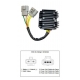 DZE REGULATOR NAPIĘCIA BENELLI TNT 250 TRK 250 BN 250 (299066080010 29906N490000)