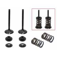 PSYCHIC ZAWORY WYDECHOWE (KOMPLET 2 SZT. ZAWORÓW ZE SPRĘŻYNAMI I PODKŁADKAMI) SUZUKI RMZ 450 '08-'15, RMX 450 '10-'14 STALOWE (M