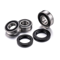 FACTORY LINKS 2025/02 ŁOŻYSKA KOŁA TYLNEGO Z USZCZELNIACZAMI SUZUKI DRZ 400 S / SM '00-'19 (25-1117)