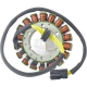 ARROWHEAD (JN) UZWOJENIE ALTERNATORA (STATOR) BMW F650 GS / DAKAR '07, F 700 GS 12-17, F 800 GS '06-17, F 800 GT '11-17, F 800 R