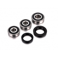 FACTORY LINKS 2025/02 ŁOŻYSKA KOŁA TYLNEGO Z USZCZELNIACZAMI BMW F650/ST '97-'99, MANA 850 '07-'14, RSV 1000 / TUONO '00-'05, RS