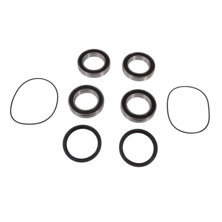 FACTORY LINKS 2025/02 ŁOŻYSKA KOŁA TYLNEGO Z USZCZELNIACZAMI SUZUKI LT-R 450 '06-'11 (25-1534)