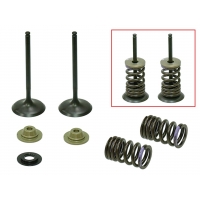 PSYCHIC ZAWORY SSĄCE (KOMPLET 2 SZT. ZAWORÓW ZE SPRĘŻYNAMI I PODKŁADKAMI) KAWASAKI KXF 250 '07-'08 STALOWE (MX-09552I) (30,97X4,