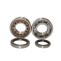 BEARING WORX ŁOŻYSKA WAŁU KORBOWEGO SHERCO SE-R 250 2T 14-16, SE-R 300 2T 14-16 (NTN) (MADE IN JAPAN)