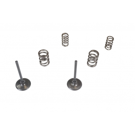 WISECO KPL. ZAWORÓW SSĄCYCH + SPRĘŻYNY KAWASAKI KX 450 F (KXF 450) '06-'08