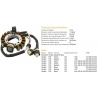 DZE UZWOJENIE ALTERNATORA STATOR YAMAHA YFM 350 BIG BEAR '89-'94 WARRIOR '87-'95 (ESG432) (OEM-3HN-85510-20-00)