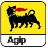 AGIP (ENI) FORK 5W (4L) - KONFEKCJA OLEK MOTOCYKLE
