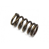 PSYCHIC WYPRZEDAŻ SPRĘŻYNA ZAWORU WYDECHOWEGO YAMAHA YZF 250 '01-'13 / WRF 250 '01-'13, GAS GAS EC 250F (10-15), 300F (13-15) (X