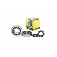 PROX ŁOŻYSKA WAŁU KORBOWEGO Z USZCZELNIACZAMI KAWASAKI KX 250 '02,