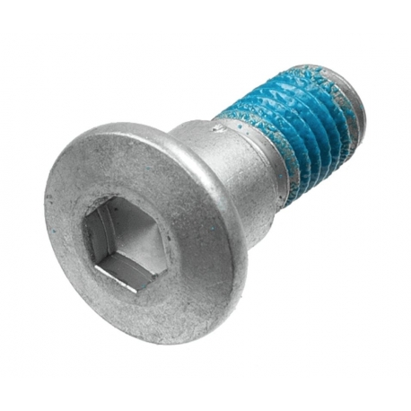 TRW ZF ŚRUBY TARCZY HAMULCOWEJ PRZÓD /TYŁ SUZUKI AN 25 / 400 / 650 BURGMAN '01-'13, DL 650 / 1000 V-STROM '02-'17, GSR 600 / 750