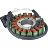 ARROWHEAD (JN) UZWOJENIE ALTERNATORA (STATOR) YAMAHA YZF-R1 '02-03 (AYA4048)