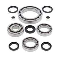 ALL BALLS USZCZELNIACZE DYFERENCJAŁU PRZEDNIEGO ARCTIC CAT Alterra 570/700 '19-'20, Prowler Pro '19-'20 / TYŁ ARCTIC CAT 500/700