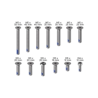 Quad Lock Screw Set V2
