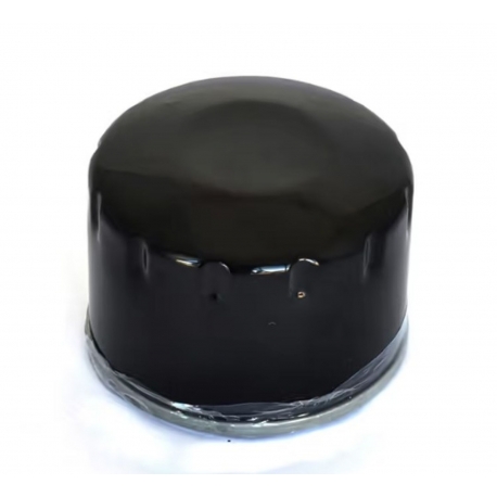 ATHENA 2026/01 FILTR OLEJU BMW C 650 GT / SPORT '11-'20, F 650 (TWIN) '07-'12, F 700 '13-'18, F 800 GS '07-'18, F 800 GT '12-'17