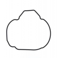 ATHENA 2026/01 USZCZELKA POKRYWY ALTERNATORA KAWASAKI ZX-9 R '94-'97, OEM, 920551494