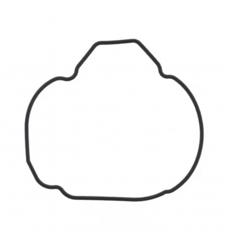 ATHENA 2026/01 USZCZELKA POKRYWY ALTERNATORA KAWASAKI ZX-9 R '94-'97, OEM, 920551494