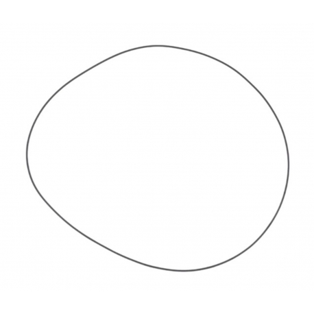 ATHENA 2026/01 USZCZELKA POKRYWY SPRZĘGŁA ZEWNĘTRZNA (O-RING) SHERCO (OEM: 0989)