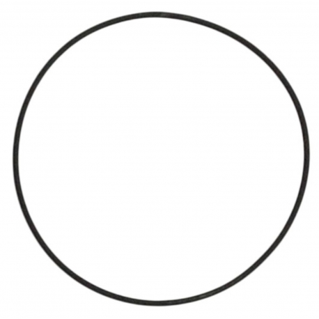 ATHENA 2026/01 USZCZELKA POD GŁOWICĘ (GŁOWICY) (O-RING) (74 X 78 X 2MM) KTM MXC 250 '02-'03, SX 250 '90-'04, EXC 250 '04, YAMAHA