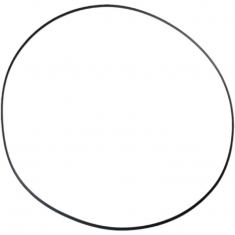 ATHENA 2026/01 USZCZELKA POKRYWY SPRZĘGŁA (ZEWNĘTRZNA) (O-RING NBR) (200 X 206 X 3MM) POLARIS (OEM: 5412458)