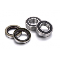 FACTORY LINKS 2026/01 ŁOŻYSKA KOŁA PRZEDNIEGO / TYLNEGO Z USZCZELNIACZAMI STARK FUTURE VARG EX / MX / SM '25-'26, SM 60 / 80 CV 